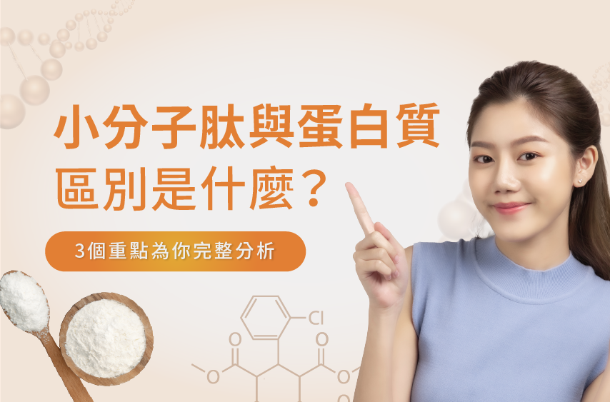 小分子肽與蛋白質的不同-小分子肽與蛋白質區別