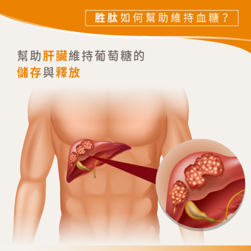 幫助肝臟維持運作-胜肽可以降血糖嗎