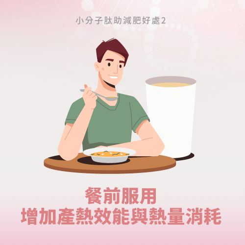 餐後補充小分子肽-小分子肽可以減肥嗎