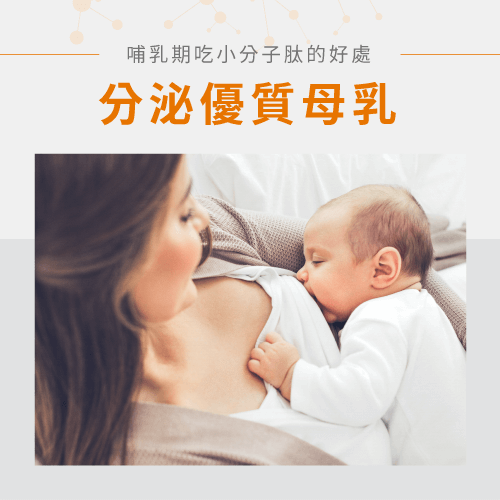 補充蛋白質-哺乳期可以吃小分子肽嗎