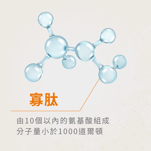 寡肽常被用於美容品應用-胜肽種類比較