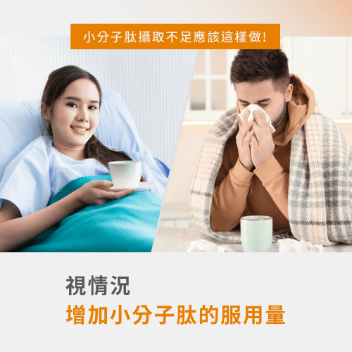 依情況調整小分子肽攝取量-缺乏小分子肽