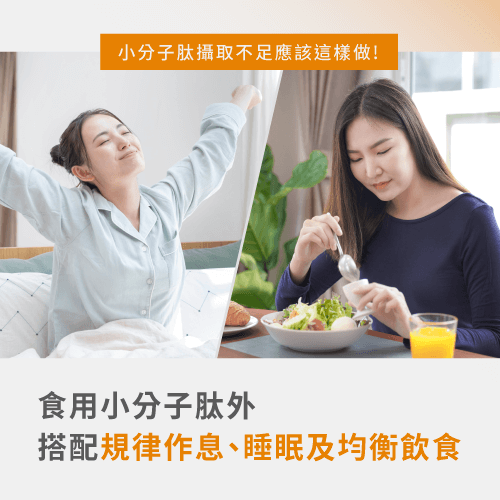 搭配規律作息及均衡飲食-小分子肽攝取不足