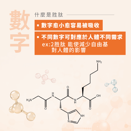 胜肽前的數字意義-胜肽的意思